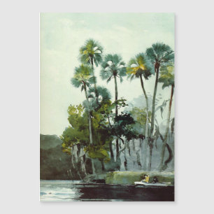 Rivière Homosassa par Winslow Homer