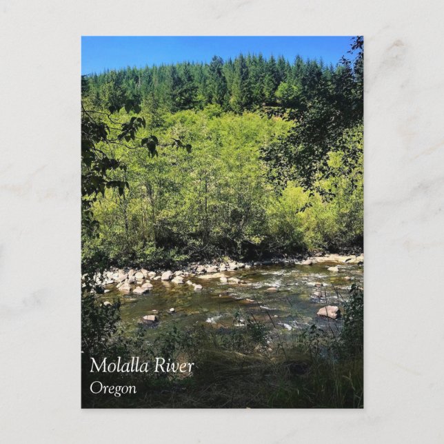 Rivière Molalla, OR Carte postale (Devant)