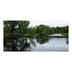 "Rivière Saranac" Photo Adirondack River & Trees