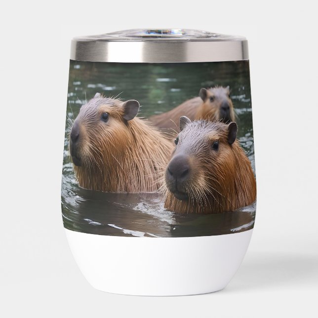 "Rivière Sérénité : Capybaras nageant dans le cour (Avant)