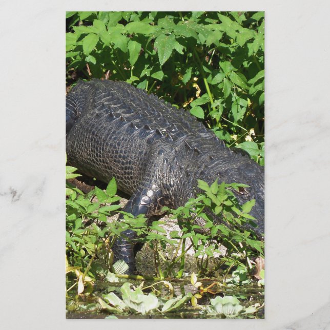 Rivière Silver Alligator (Devant)