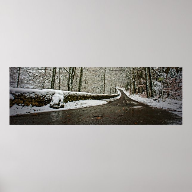 Road to the Future - Poster 36x12 (Devant)