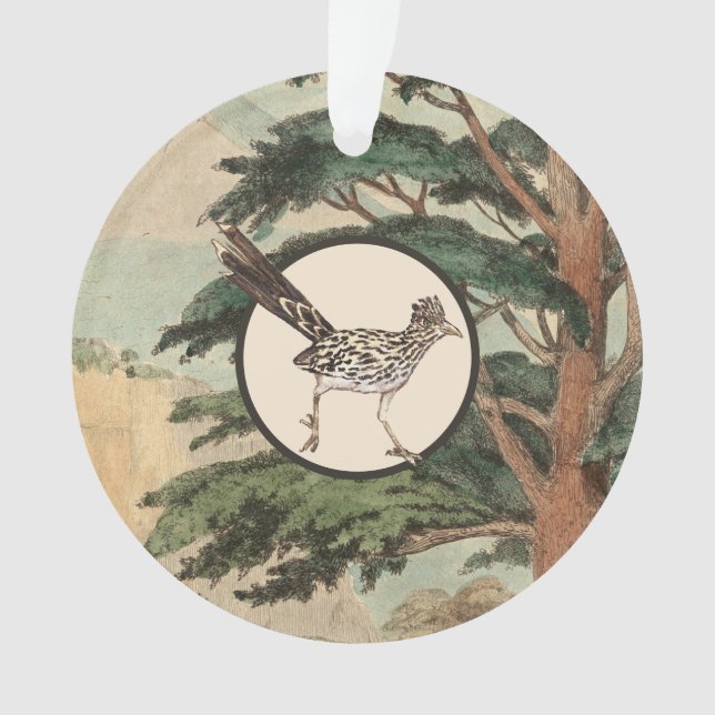 Roadrunner dans l'illustration d'habitat naturel (devant)