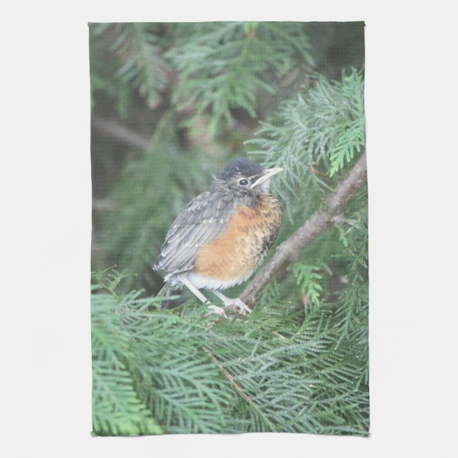 Robin bébé serviette à main (Vertical)
