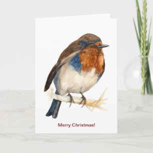 Robin européen regardant gauche carte de Noël