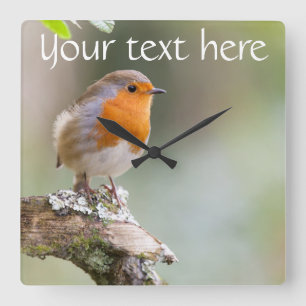 Robin horloge ajouter votre propre texte