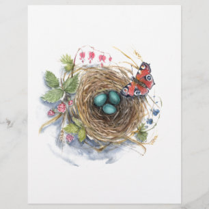Robin Nest