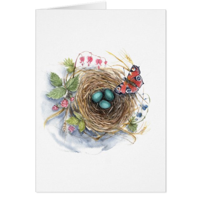 Robin Nest (Devant)
