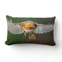 Robin planant en vol coussin