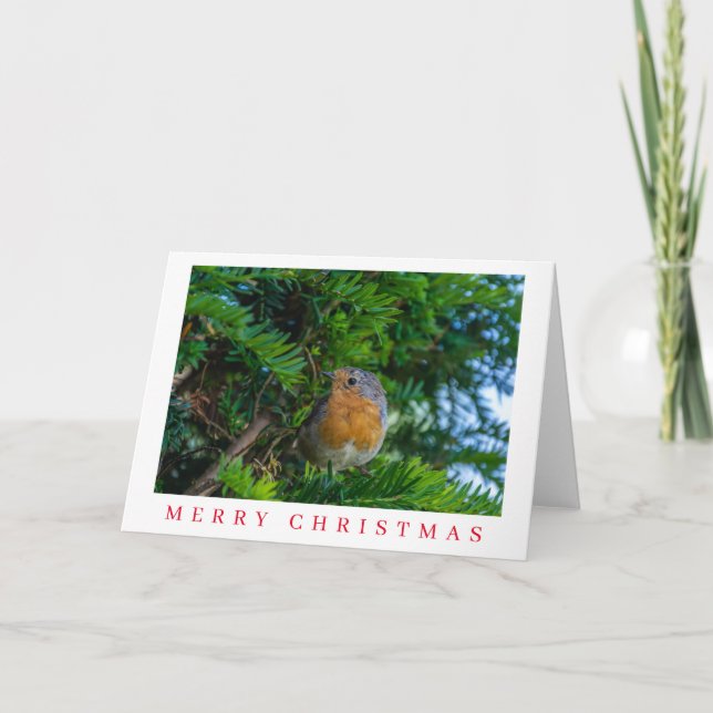 Robin sur un arbre fermer la carte de Noël (Devant)