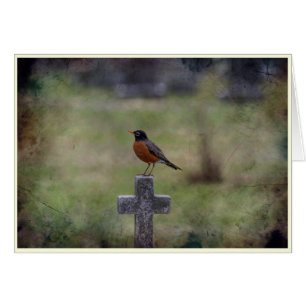 Robin sur une croix