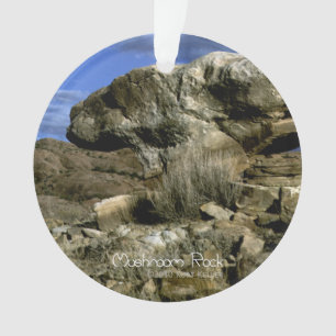 Roche de champignons