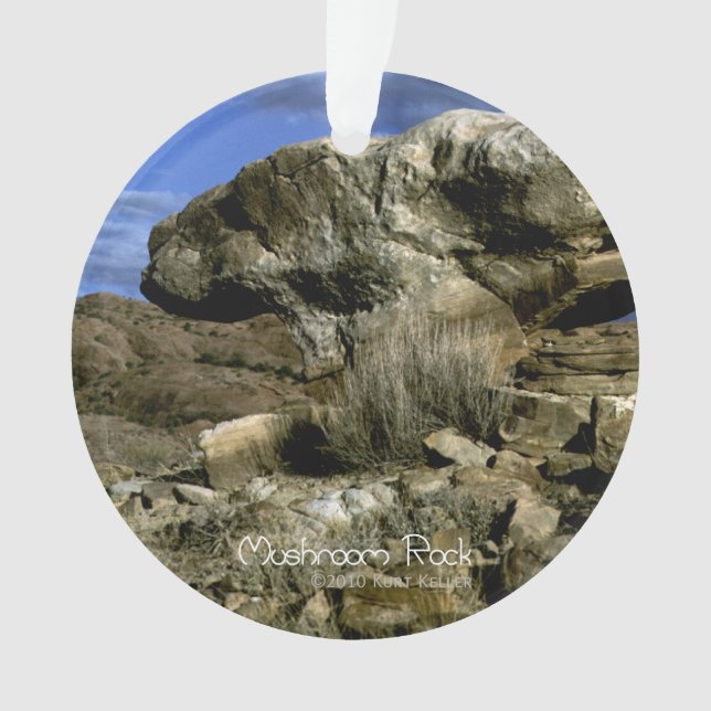 Roche de champignons (devant)