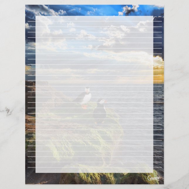 Roche de Puffin - Feuille de papier à lettres de 8 (Devant)