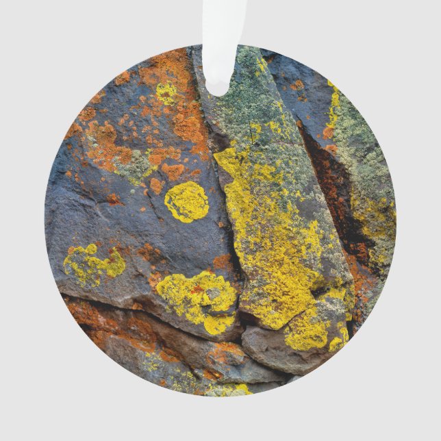 Rochers couverts de lichen (devant)
