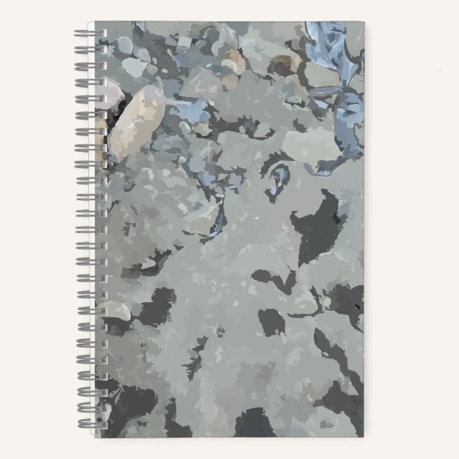 Rochers Dans Le Carnet Spiral De La Rivière (Recto)