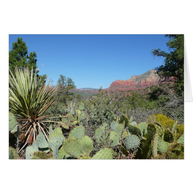 Rochers rouges et cactus I (Devant horizontal)