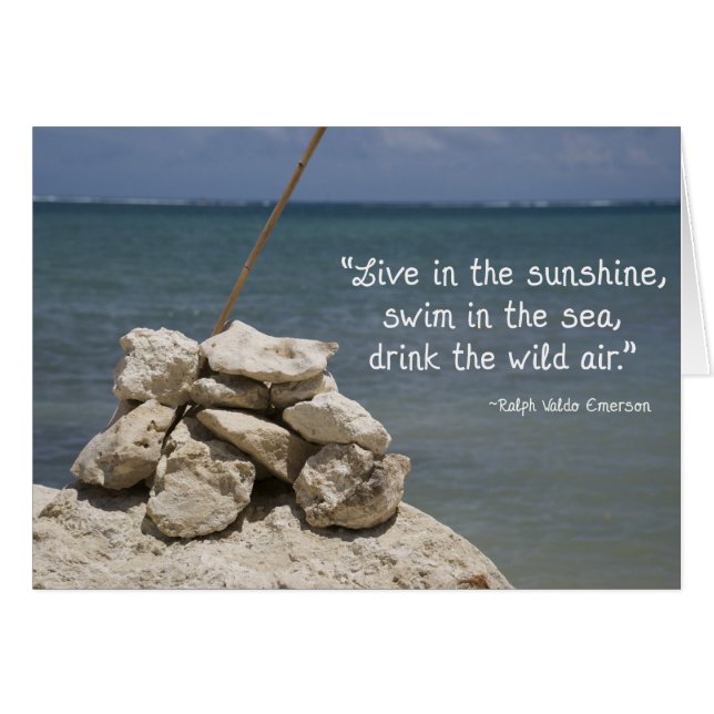 Rochers sur la plage (Devant horizontal)