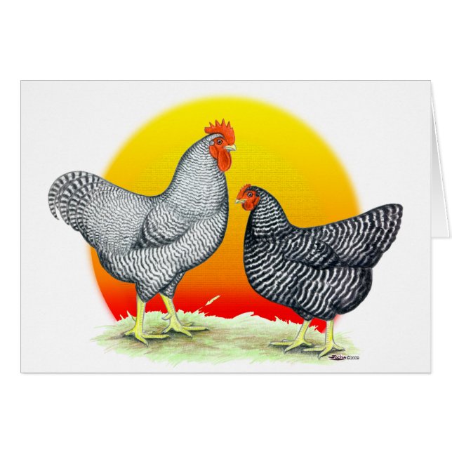 Roches de Plymouth :  Lever de soleil (Devant horizontal)