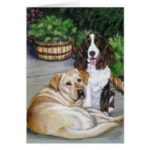 "Rocheux et nounours "