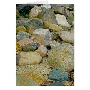 Rock Bed