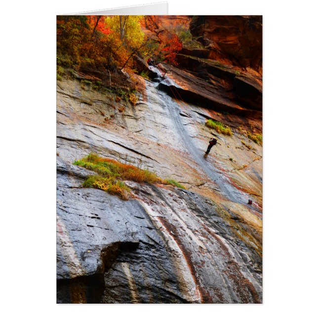 Rock Climber, Narrows, Zion NP, Carte Vierge (Devant)