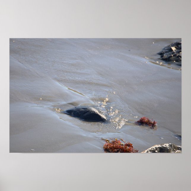 Rocks in the Ocean Poster (Devant)