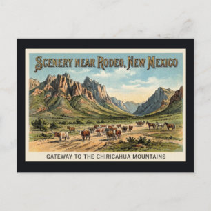 Rodéo, Nouveau-Mexique - Carte Postale Ancienne de