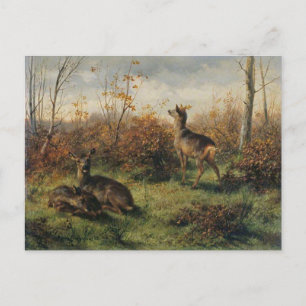Roe Deer par Rosa Bonheur Carte postale
