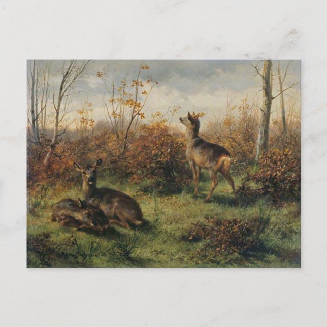 Roe Deer par Rosa Bonheur Carte postale (Devant)