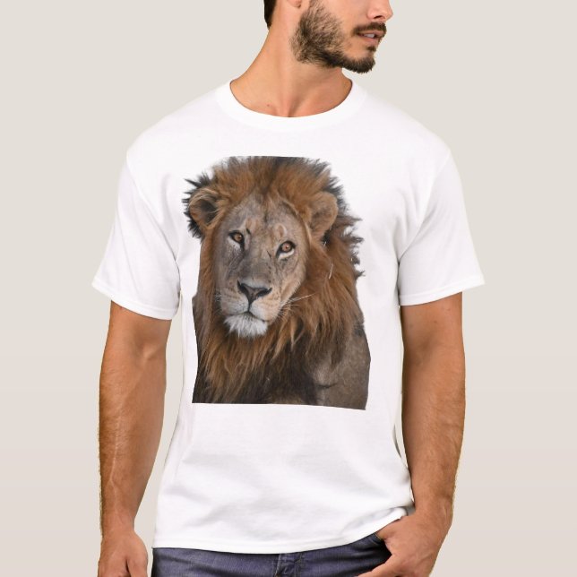 ROI DE LA SAUVAGE | T-shirt Gras Graphique Lion (Devant)