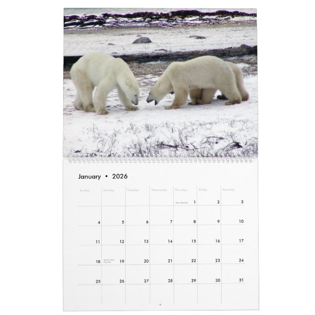 Roi d'OURS BLANC du calendrier arctique 2014 2-Pg. (Jan 2026)