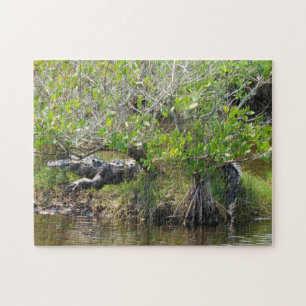 Roi du marais - Alligator Jigsaw Puzzle
