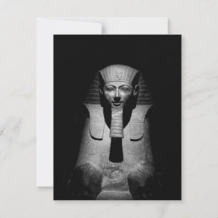 Roi pharaon noir et blanc