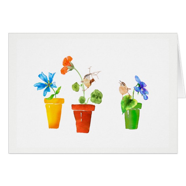 Roitelets et pots de fleurs (Devant Horizontal)