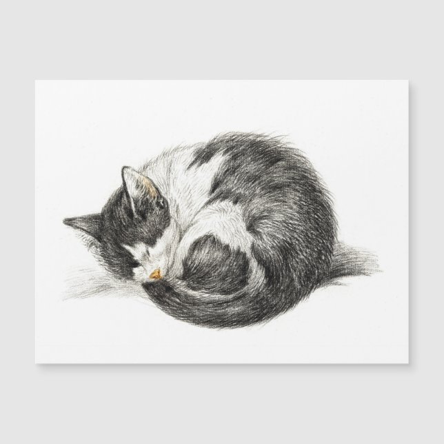 Rolled vers le haut couché chat (1825) (Devant)