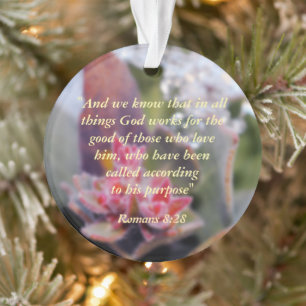 Romains 8:28