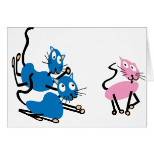 Romance de chat