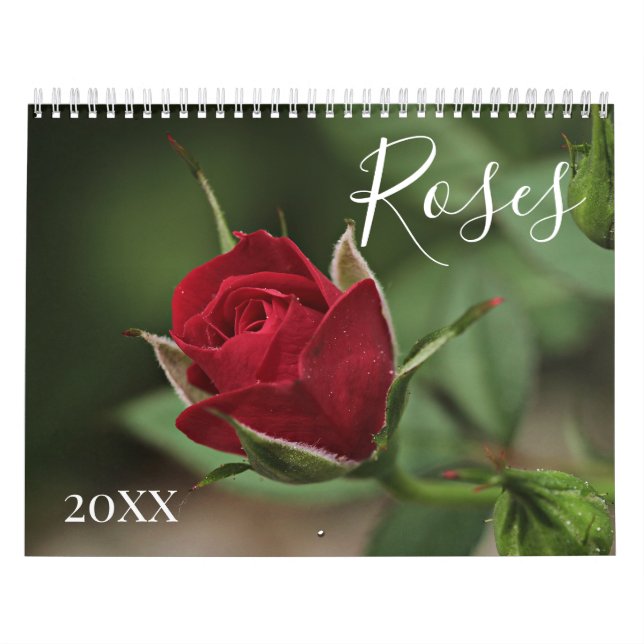Romantique fleurs florales calendrier rose (Protection)