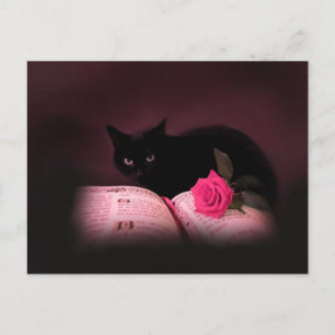 romantique livre de chat carte postale rose