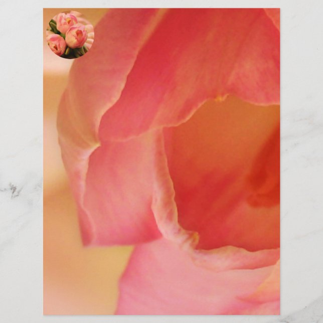 Romantique Papillon rose Tulip (Devant)