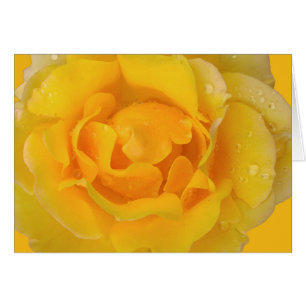 Romantique Rose Jaune gouttes d'eau