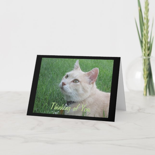 Romeo Le chat Penser de vous Carte de voeux (Devant)