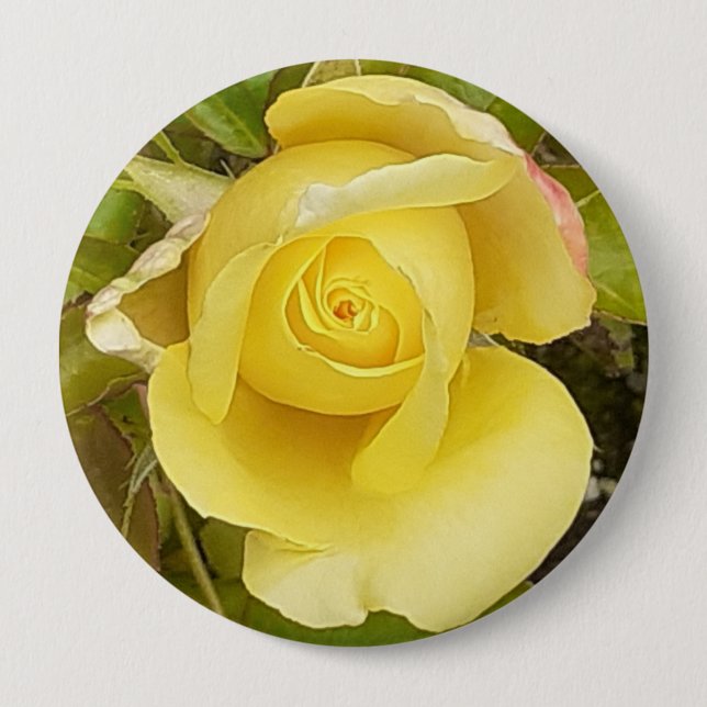 Rond 10 Cm Badge de Rosebud Jaune (Devant)