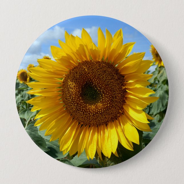 Rond 10 Cm Badge géant de tournesol (Devant)