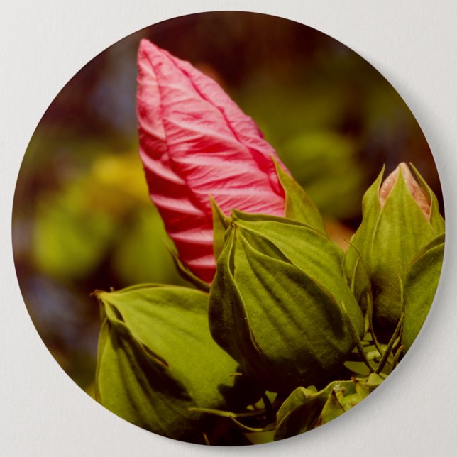 Rond 15,2 Cm Badge photo rose (Devant)