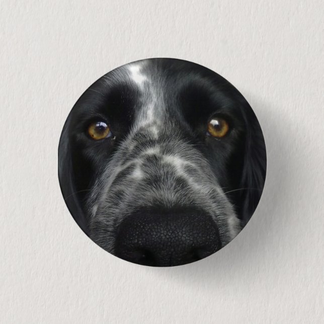 Rond 2,50 Cm Badge gros plan en Espagne (Devant)