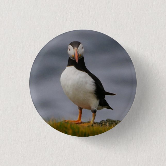 Rond 2,50 Cm Badge Puffin (Devant)