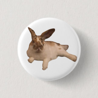 Rond 2,50 Cm Badge Zesty Paddy