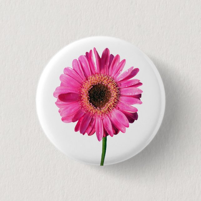 Rond 2,50 Cm Bouton à fleurs Gerbera rose / Badge (Devant)